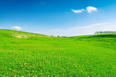 Similar image 1775284