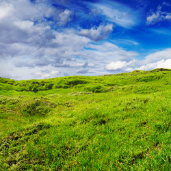 Similar image 1775285