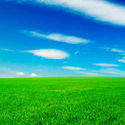 Similar image 1775287