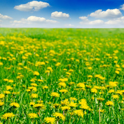 Similar image 1775293