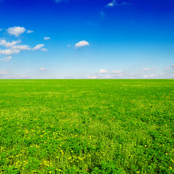 Similar image 1775301