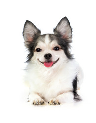 Similar image 1775304