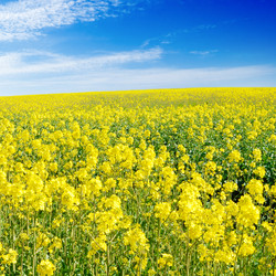 Similar image 1775305