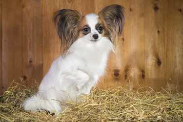 Similar image 1775310