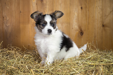 Similar image 1775312