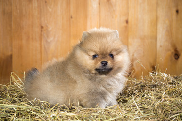 Similar image 1775317