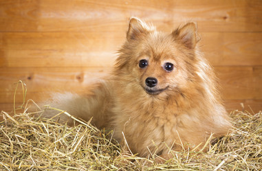 Similar image 1775321