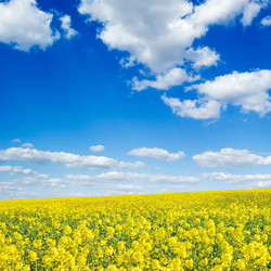 Similar image 1775326