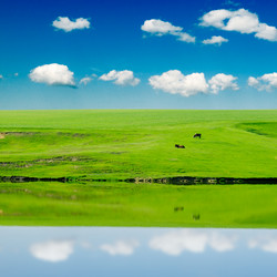 Similar image 1775329