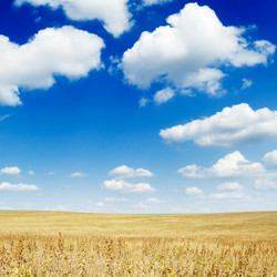 Similar image 1775331