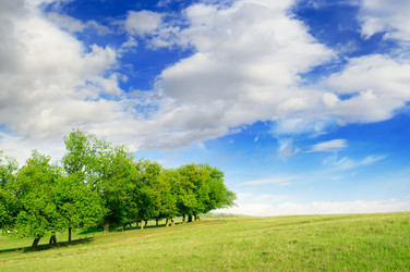 Similar image 1775336