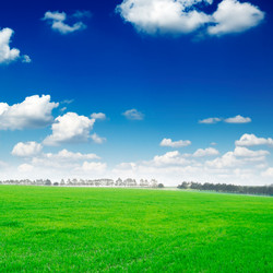 Similar image 1775350