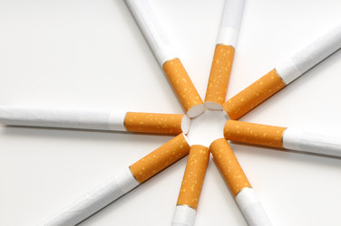 Similar image 1775354