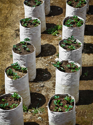 Similar image 1775525