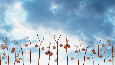 Similar image 1775527