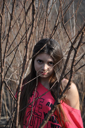 Similar image 1775607