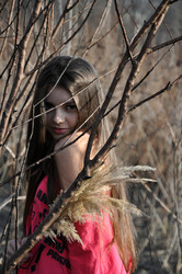 Similar image 1775615