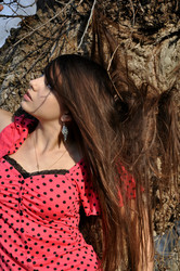 Similar image 1775617