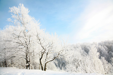 Similar image 1775618