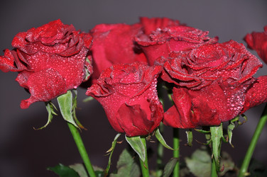 Similar image 1775620