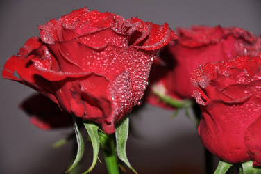 Similar image 1775655