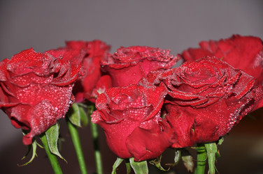 Similar image 1775656