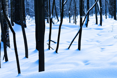 Similar image 1776088