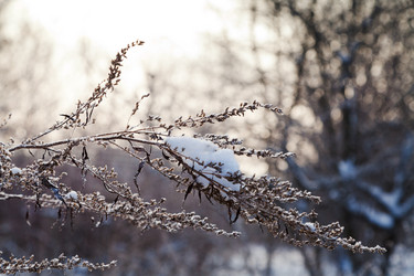 Similar image 1776102