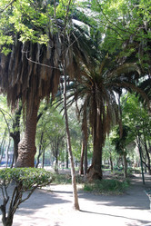 Similar image 1776107