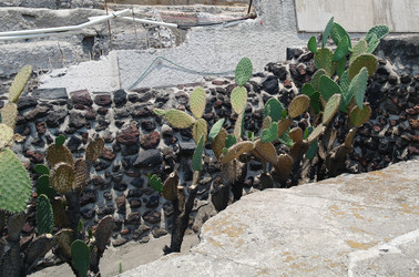 Similar image 1776116