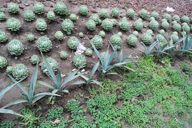 Similar image 1776118