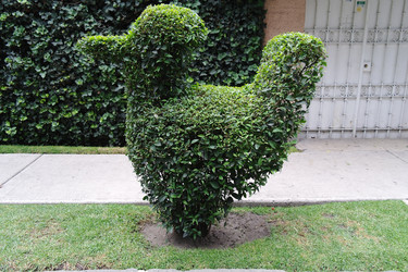 Similar image 1776121