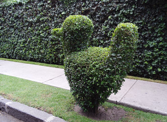 Similar image 1776123