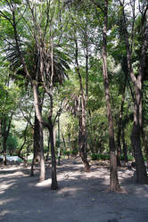 Similar image 1776126