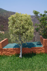 Similar image 1776131