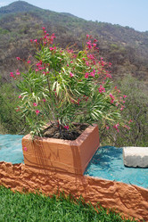 Similar image 1776133