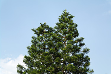 Similar image 1776138