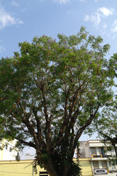 Similar image 1776139