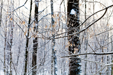 Similar image 1776148