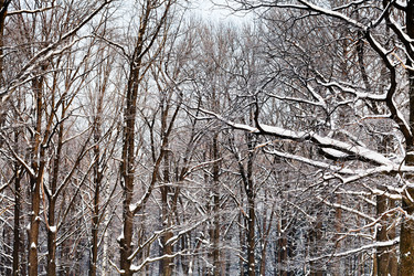 Similar image 1776160