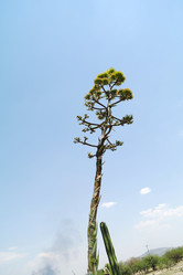 Similar image 1776161