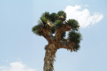 Similar image 1776170