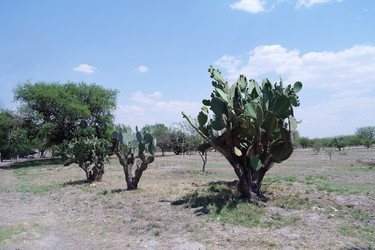 Similar image 1776176