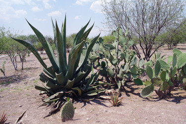 Similar image 1776190