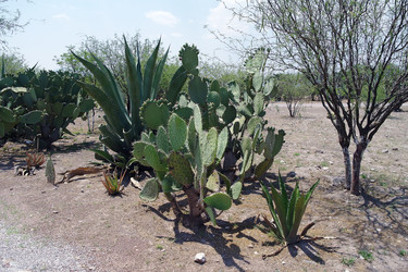 Similar image 1776208