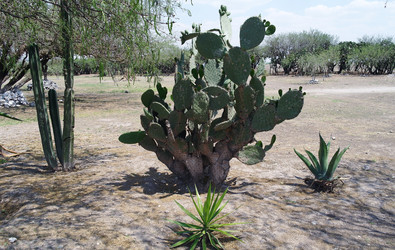 Similar image 1776209