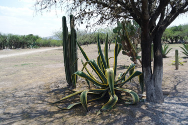 Similar image 1776210