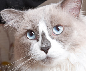 Similar image 1776246