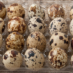 Similar image 1776299