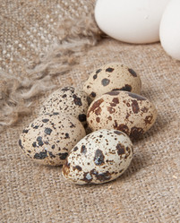 Similar image 1776300